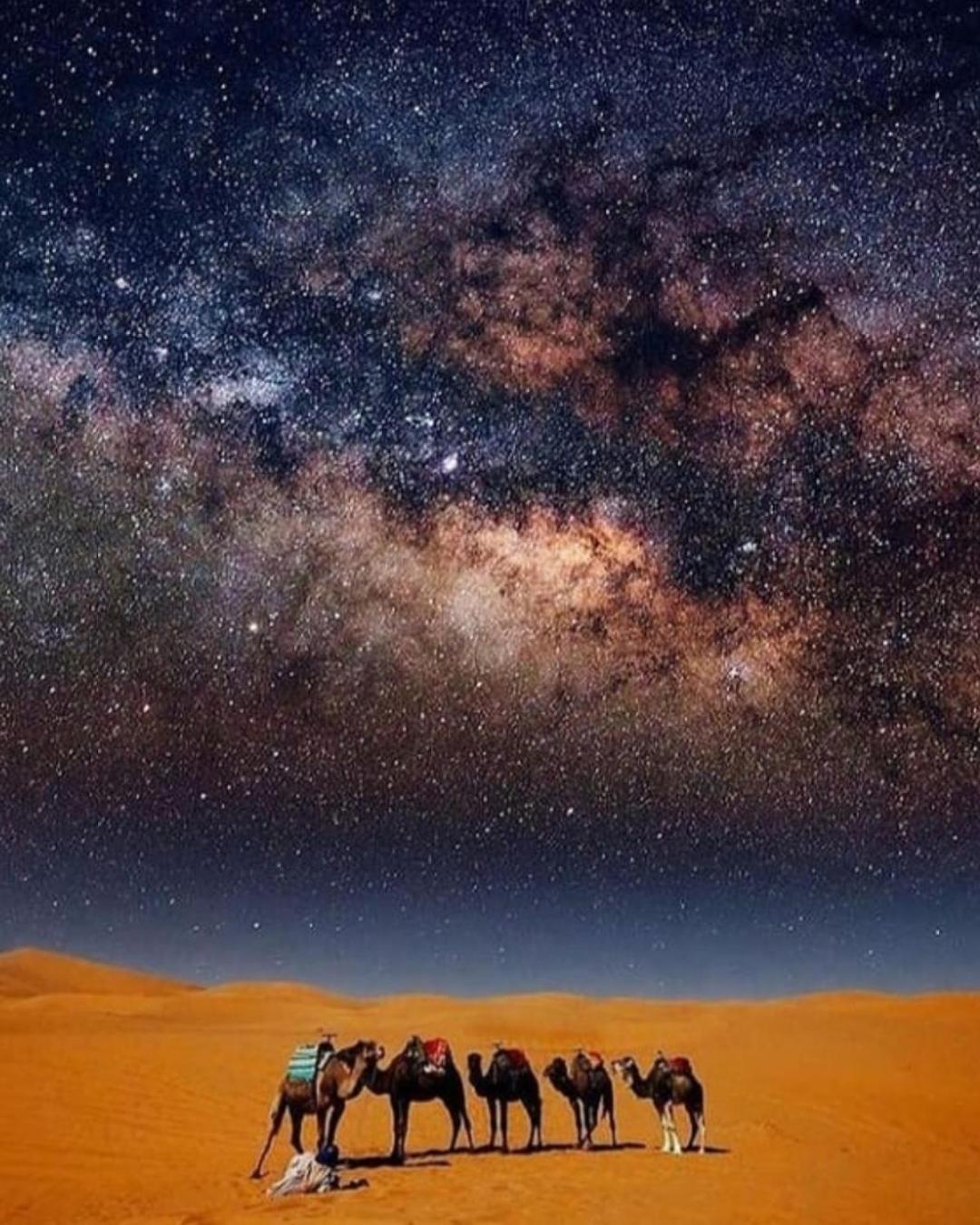 Overnight Desert Camp Merzouga Exterior photo